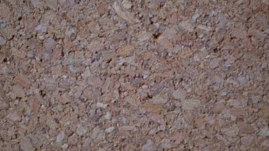 Hızlı Dönen Mantar Panelinin Yakın Çekim