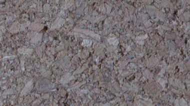 Mantar Panelinin Yakın Çekim, Uzaklaştırma