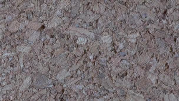 Gros plan sur un panneau de liège, Zoom arrière 