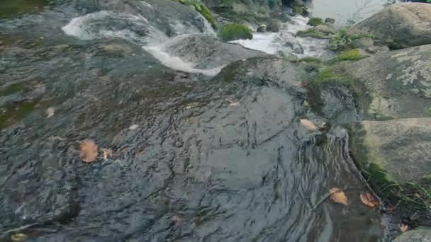 Mouvement lent d'une petite cascade avec des roches moussues — Video