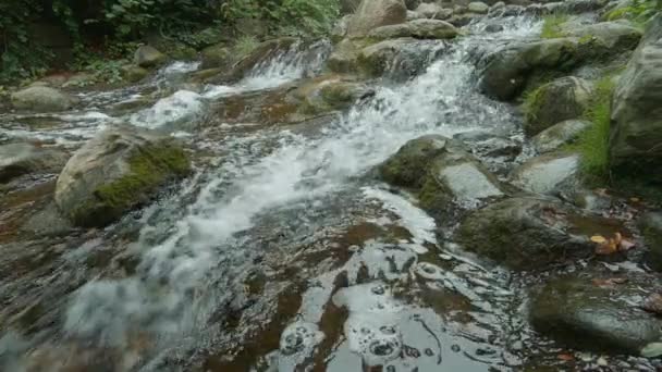 Zeitlupe eines kleinen Wasserfalls mit bemoosten Felsen — Stockvideo