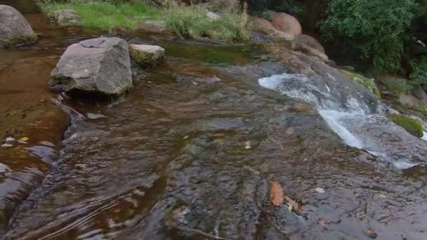 Mouvement lent d'une petite cascade avec des roches moussues 