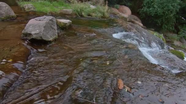 Moción lenta de una pequeña cascada con rocas musgosas — Vídeos de Stock