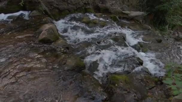 Moción lenta de una pequeña cascada con rocas musgosas — Vídeos de Stock