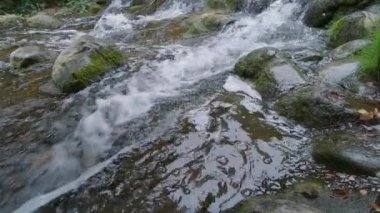 Yosunlu Kayalar ile Küçük Şelale Yavaş Hareket