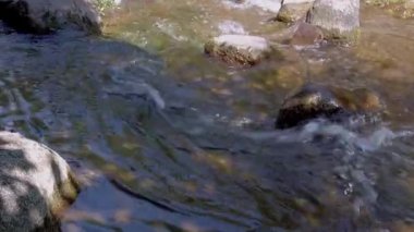 Hızlı Akan Nehirde Kayalar, Pan Shot