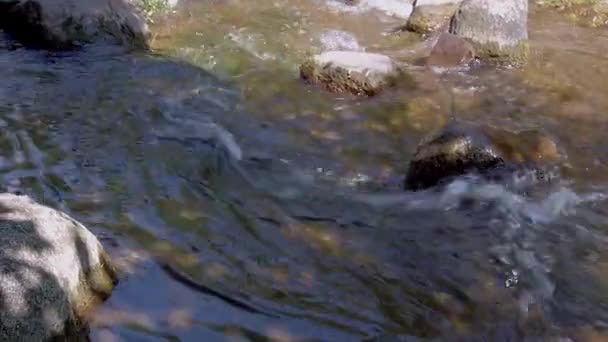 Klippor i en snabb strömmande flod, Pan shot — Stockvideo