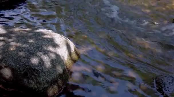 Klippor i en snabb strömmande flod, Pan shot — Stockvideo