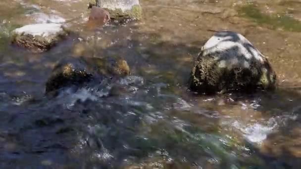 Rochers dans une rivière à écoulement rapide — Video