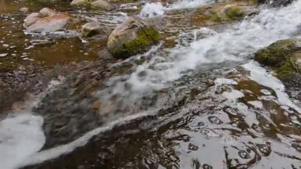 Slow Motion van een kleine waterval met Mossy Rocks — Stockvideo