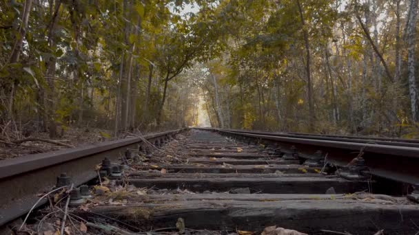 Vías férreas abandonadas en el bosque en Berlín, Alemania — Vídeos de Stock