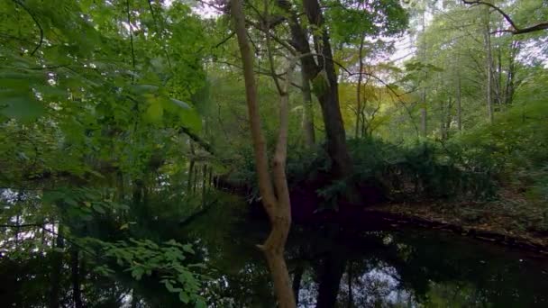 Árboles a orillas del lago en otoño, tiro panorámico en cámara lenta — Vídeo de stock