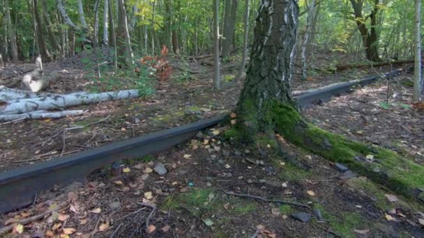 Bouleau avec des feuilles tombées sur les voies ferrées abandonnées en automne, Pan Shot — Video