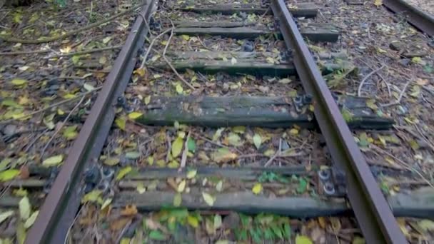 Tracce ferroviarie abbandonate con foglie cadute in autunno — Video Stock