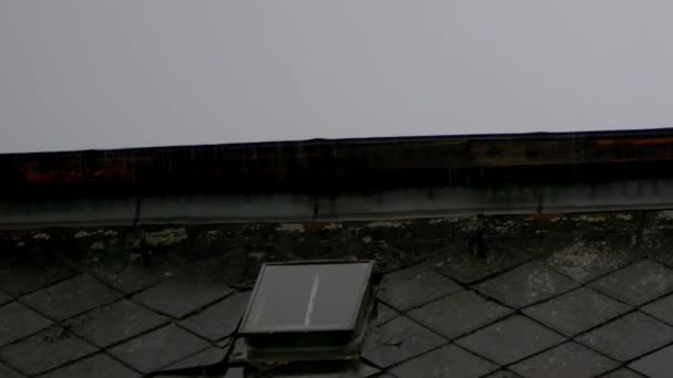 Heavy Rain Falling On A Roof During A Thunderstorm In Berlin — Stock Video