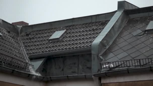 德国柏林雷雨下在屋顶上的大雨 — 图库视频影像