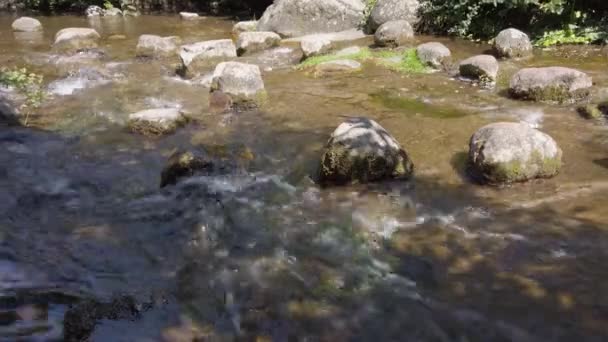 Rocas en un río que fluye rápido — Vídeos de Stock