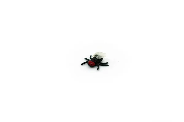 Eine schwarze Plastikfliege mit rotem Kopf mit transparenten weißen Flügeln mit sechs Beinen in Großaufnahme isoliert auf weißem Hintergrund. — Stockfoto