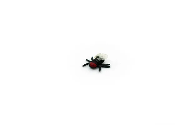 A black plastic fly with a red head with transparent white wings with six legs close-up isolated on a white background. — Stock Photo, Image