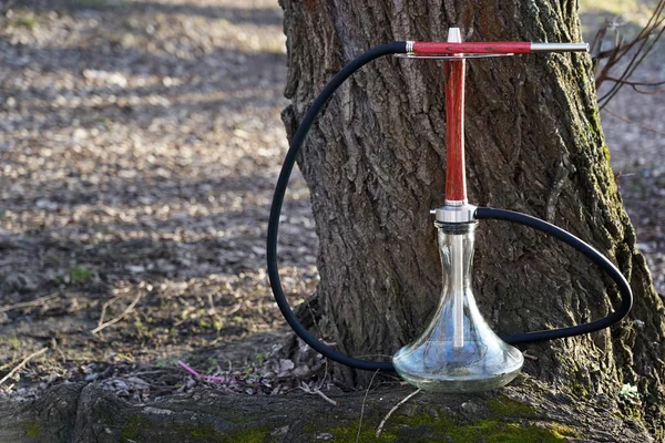 Siyah bir hortum ile güzel kırmızı ahşap nargile ağacın yanında ormanda duruyor. Metal bir plaka nın üzerinde ağızlık. Doğada nargile içmek için seyahat ve konsept. Sonbahar manzarası.