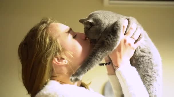 年轻美丽而快乐的金发姑娘把可爱的绒毛灰猫抱在伸出的胳膊上 抱着它 一只长着张开的爪子和眯着眼的猫 家庭内部 浅层背景 — 图库视频影像