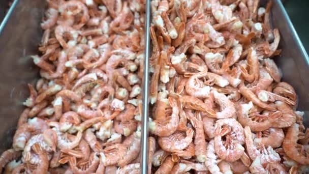 超市冰箱里有很多美味的大冷冻红虾 海鲜在商店的冰上放在一个金属托盘里 — 图库视频影像