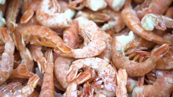 Lots Delicious Big Frozen Red Shrimps Close Supermarket Fridge Seafood — Stock Video