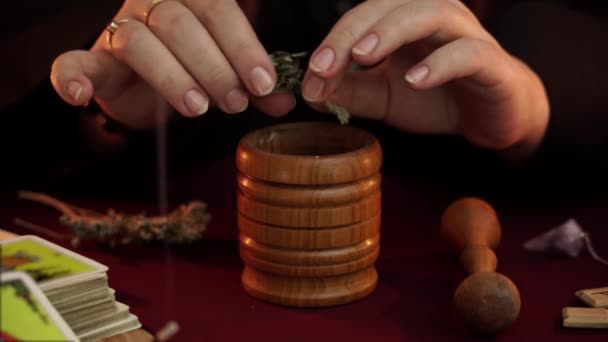 Häxa Fortune Teller Svart Mantel Crushe Och Skaka Malört Murbruk — Stockvideo