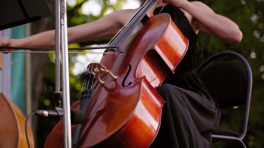 Siyah elbiseli çekici kadın çello klasik müzik solo çalış. Güzel kız yakın gün batımında açık havada sokak müzisyenleri topluluğu içinde gerçekleştirmek. Senfoni orkestrası parkta performans sergiliyor.