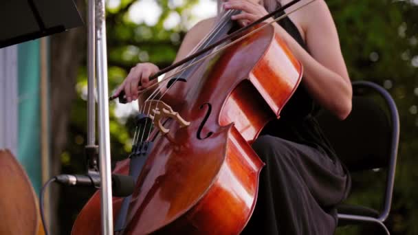 穿着黑色连衣裙的迷人女人坐在椅子上 配上大提琴 美丽的女孩在日落特写时在露天的街头音乐家合奏表演 交响乐团夏季在公园演出 — 图库视频影像