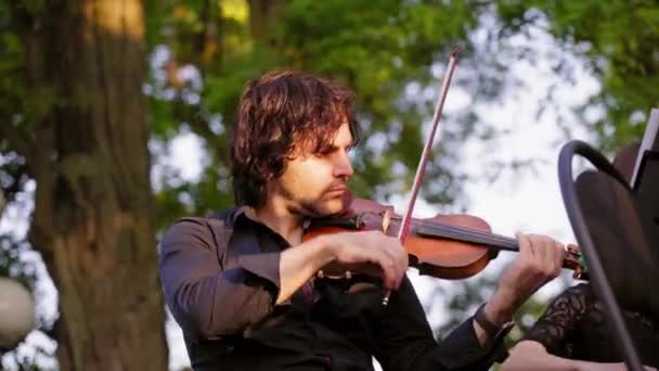 Hombre Guapo Con Pelo Rizado Camisa Negra Tocando Violín Música — Vídeos de Stock