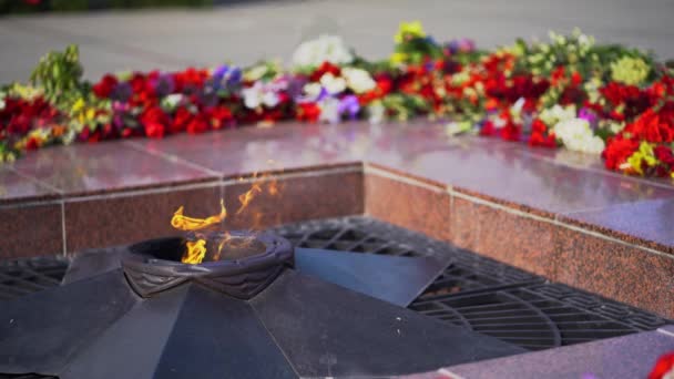 Eternal Flame Monument Med Stjärna Och Blommor Grave Unknown Soldier — Stockvideo