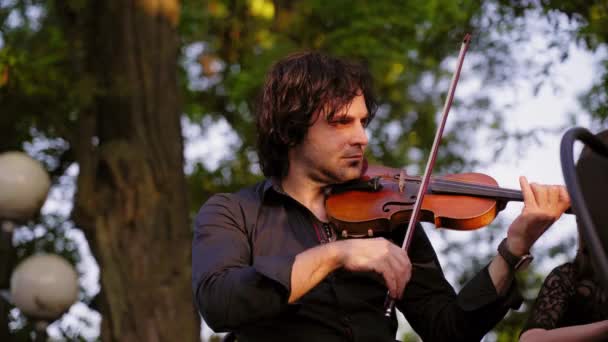 Homem Bonito Com Cabelo Encaracolado Camisa Preta Tocando Violino Música — Vídeo de Stock