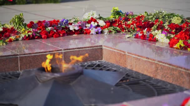 红白相间的丧礼鲜花在永恒火焰纪念碑上 在无名战士墓上星辰 第二次世界大战胜利的象征 火燃烧 悼念数百万苏联人民 — 图库视频影像