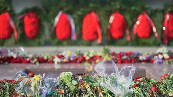 Green Funeral Flowers Eternal Flame Memorial Monument Tomb Unknown Soldier — Stock Video