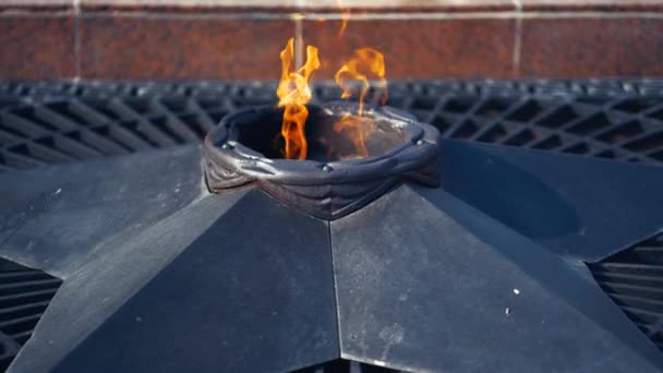 Monument Commémoratif Flamme Éternelle Avec Étoile Sur Tombe Soldat Inconnu — Video