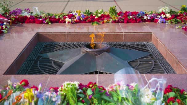 Памятник Вечному Огню Звездой Могиле Неизвестного Солдата Символ Победы Второй — стоковое видео