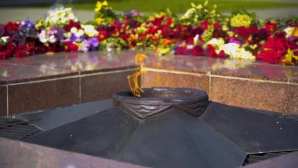 Eternal Flame Monument Med Stjärna Och Blommor Grave Unknown Soldier — Stockvideo