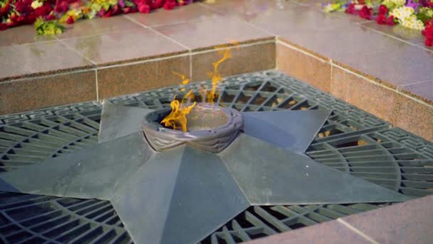 第二次世界大戦で9日の勝利の日の象徴 未知の兵士の墓に星を持つ永遠の炎の記念碑 何百万人ものソ連の犠牲者の追悼で火災が燃える人々は祖国を擁護する — ストック動画