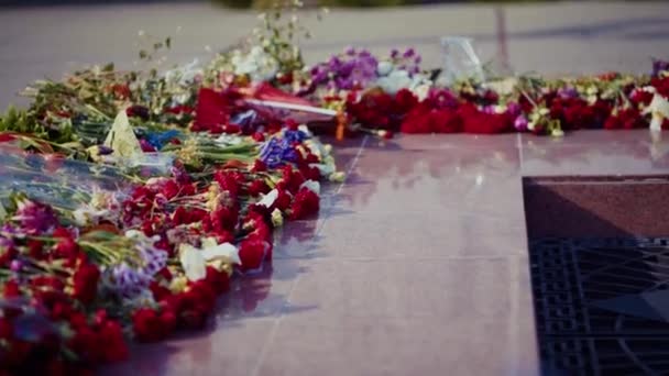 Pomnik Wiecznego Płomienia Gwiazdą Tomb Unknown Soldier Symbol Dnia Zwycięstwa — Wideo stockowe