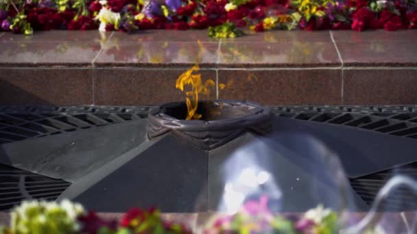 永远的火焰纪念碑 在无名战士墓的星辰和花朵 第二次世界大战胜利的象征 为了纪念数百万苏联阵亡将士保卫祖国 烈火熊熊燃烧 — 图库视频影像