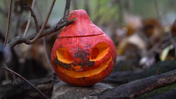 Lonely Grande Lanterne Citrouille Orange Avec Visage Effrayé Sculpté Sur — Video