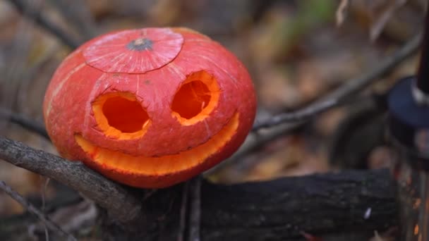 Cabeza Sonriente Brillante Calabaza Tallada Espeluznante Naranja Ramas Árbol Seco — Vídeos de Stock