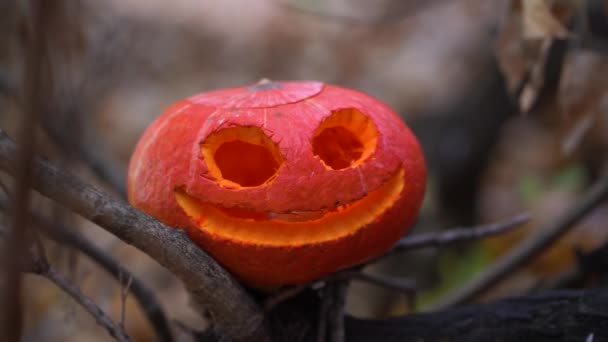 Lonely Large Hermosa Linterna Calabaza Naranja Con Cara Espeluznante Tallada — Vídeo de stock