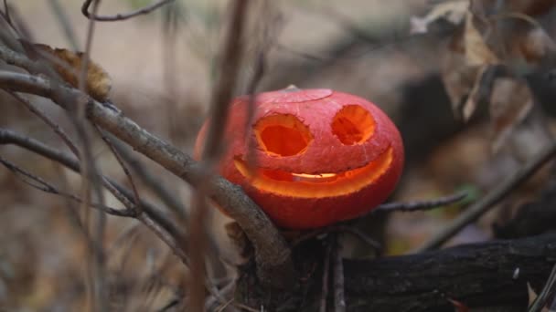 一只南瓜形状的杰克 头上挂着恐怖或滑稽的表情 面对着枯干的树枝和树木 背景是秋色茂密的室外森林 快乐的笑容里燃烧着蜡烛 — 图库视频影像