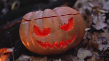 Yapraklar. Düş! Sonbahar parkı, Cadılar Bayramı için orman. Balkabağı Jack 'in düşen yapraklara oyulmuş ürkütücü yüz lambası. Jack geleneksel fener tatilidir. Korkunç yüz ve tütsü atmosferi korkutur..