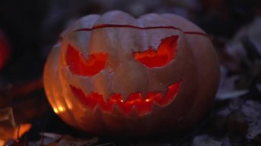 Portakallı Jack-o-Lantern balkabağı kafası yanan bir mum, kasvetli ormanda korkunç bir sırıtış. Keskin dişleri olan ağız, korkutucu bakışları olan ürkütücü gözler balkabağına oyulmuş açık hava kapağı..