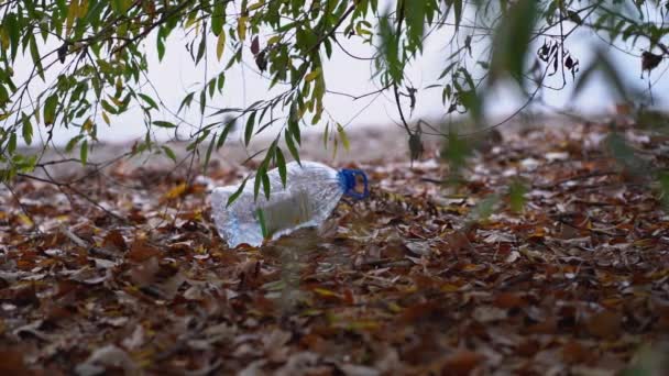 屋外の川の近くの森の緑の木の冠の下に秋の葉の間に空のプラスチック製の青いボトルがあります 人々による環境汚染の問題 美しい自然の中でゴミ — ストック動画