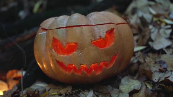 不気味な優雅さ 邪悪な目 鋭い歯を持つ口のある恐ろしいオレンジの彫刻カボチャは 屋外に近い暗い神秘的な森の中の灰色の秋の葉の上に立っています ハロウィーンの休日のコンセプト — ストック動画
