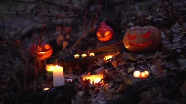 Criativa Halloween Horrível Esculpida Abóboras Jack Lanterna Com Velas Acesas — Vídeo de Stock